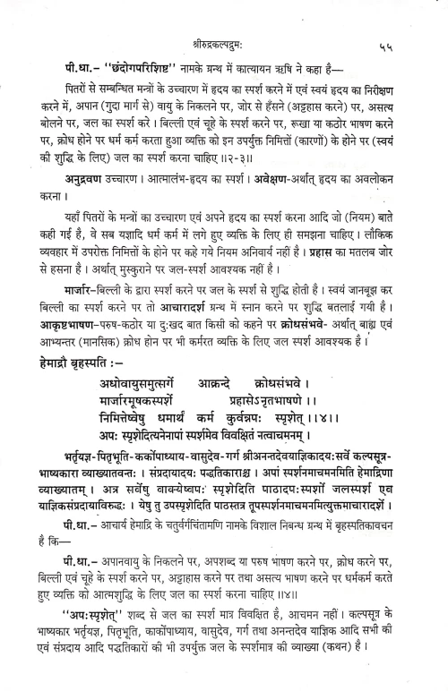 Shrirudrakalpadrum (CSBG 175)